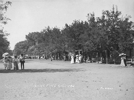 lone pine1902